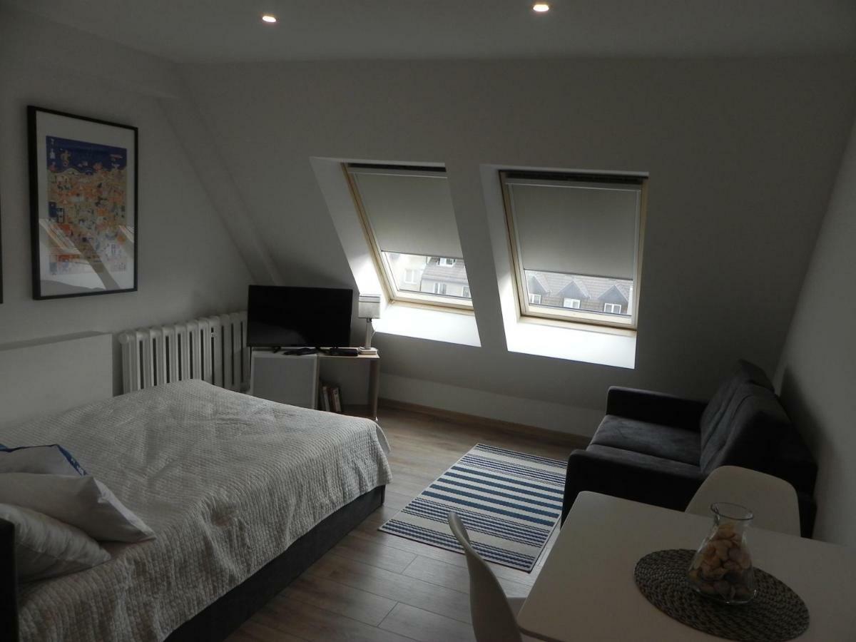 Apartamenty Starowka コウォブジェク エクステリア 写真